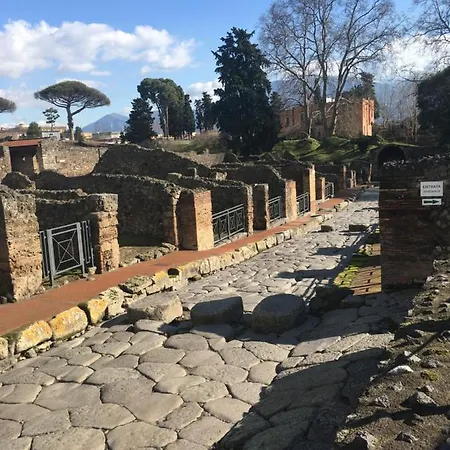 Appartement In Con Giardino Privato E Piscina Massa Lubrense